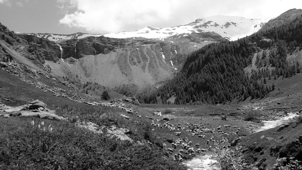 Estive in the Écrins massif / Photo: Kevin Walsh (University of York).