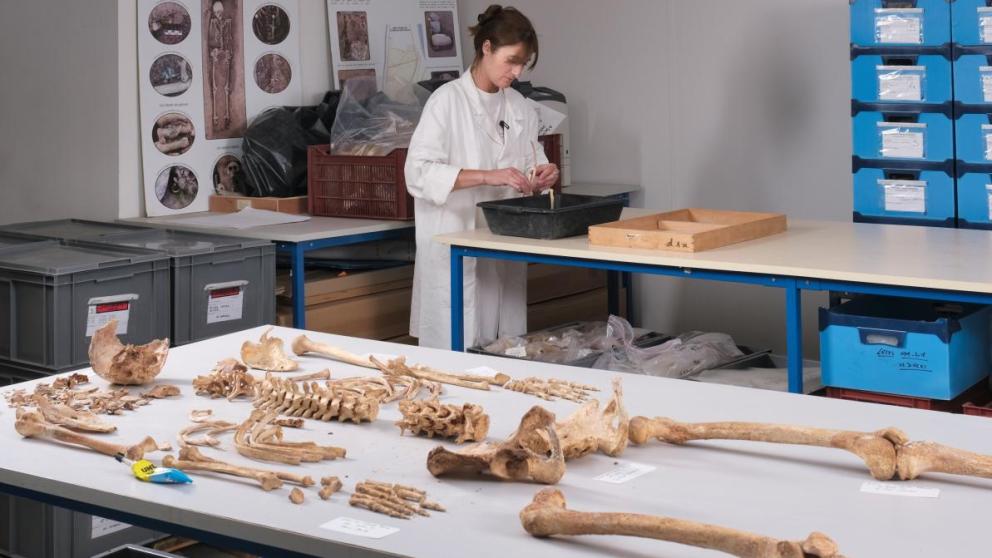 Human specimen undergoing anthropological study / Photo: Pascal Druelle (Inrap).