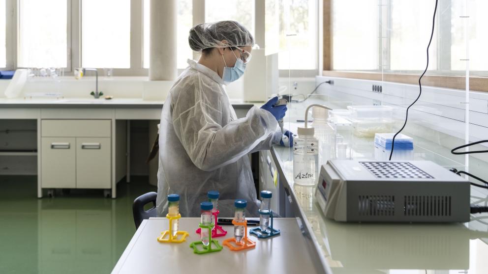 Préparation d'échantillons pour analyses isotopiques / Cliché : Elea Ropiot (Aix-Marseille Université).