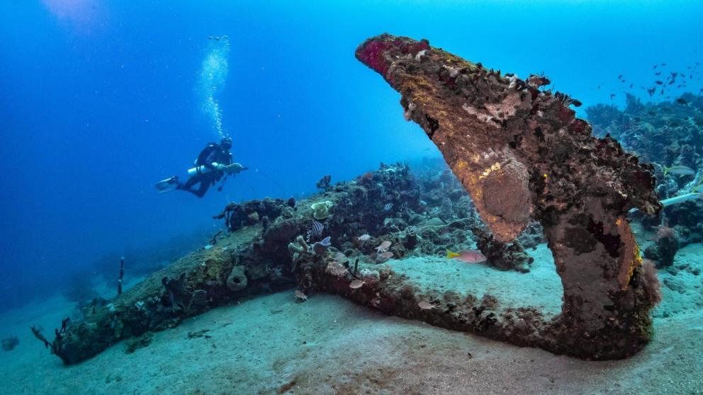 St Pierre Anchor's path (Martinique) / Photo: Claude Michaud (AAPA). 