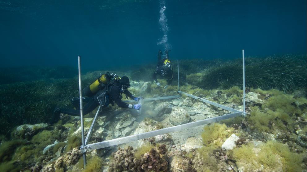 Fouille sous-marine sur le site portuaire antique d'Olbia (Hyères, Var) / Cliché : Loïc Damelet (CNRS - Centre Camille Jullian).