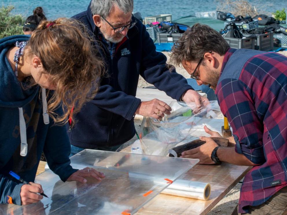 Épave moderne Laurons XI (Martigues) - Documentation et conservation des éléments de bois en surface / Cliché : Lionel Roux (CNRS - Centre Camille Jullian).