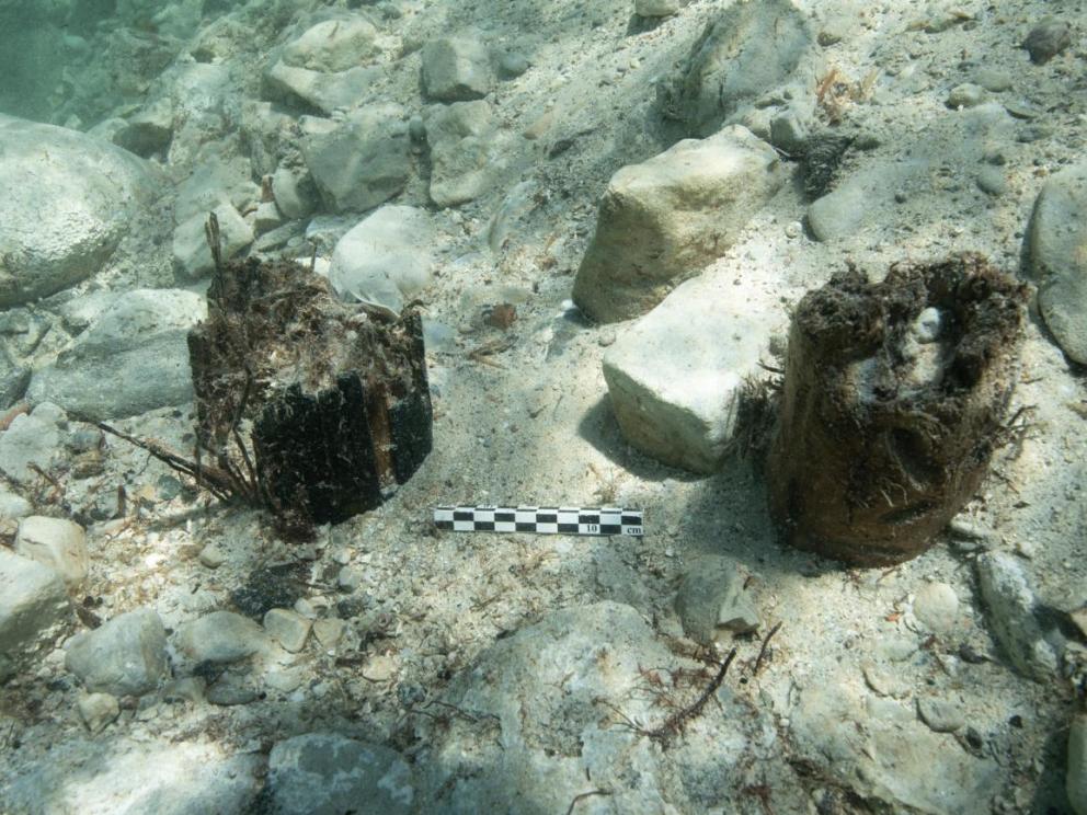 Étude des aménagements littoraux antiques de l'île Sainte-Marguerite (archipel de Lérins, Cannes) : deux pieux contigus mis au jour dans l'anse Sainte-Anne / Cliché : Lionel Roux (CNRS - Aix-Marseille Université - Centre Camille Jullian).