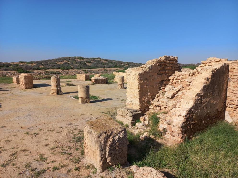 Thaenae (Sfax, Tunisie) : vue de la maison de Dionysos / Cliché : Solenn de Larminat (CNRS - Centre Camille Jullian).