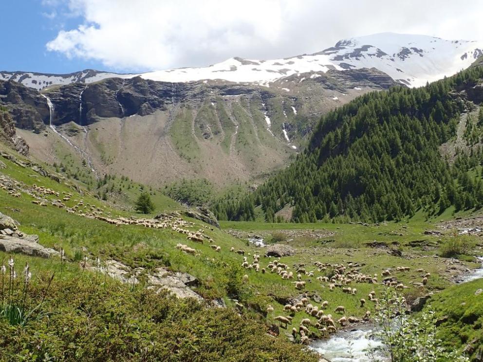 Estive dans le massif des Écrins / Cliché : Kevin Walsh (Université de York).