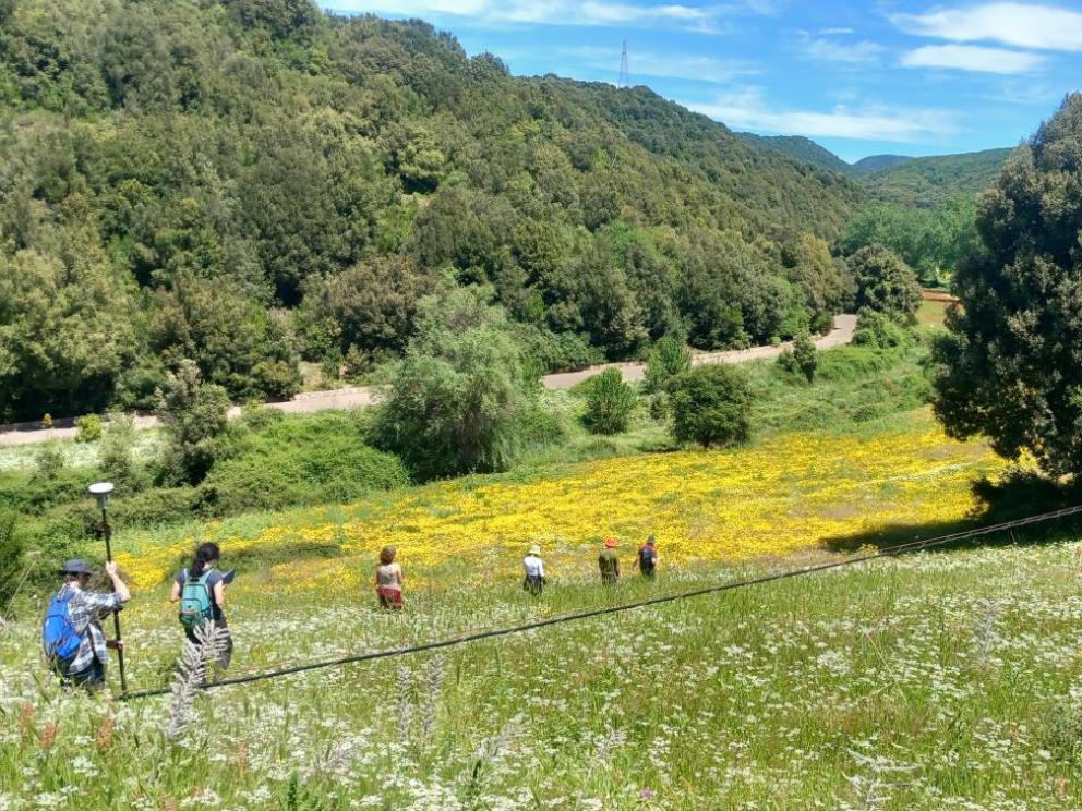 Projet ARGENTARIA (Sardaigne) - Prospection géochimique / Tous droits réservés.