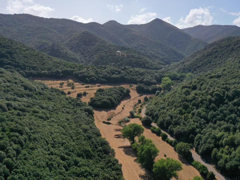 Projet ARGENTARIA (Sardaigne) - Vallée d'Antas / Tous droits réservés.