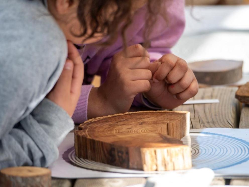 Ateliers de sensibilisation aux méthodes d'étude du bois archéologique pour le public scolaire, en parallèle du chantier-école 2024 du Master d'archéologie maritime et côtière sur l'épave moderne de Laurons XI (Martigues) / Cliché : Lionel Roux (CNRS - Centre Camille Jullian).