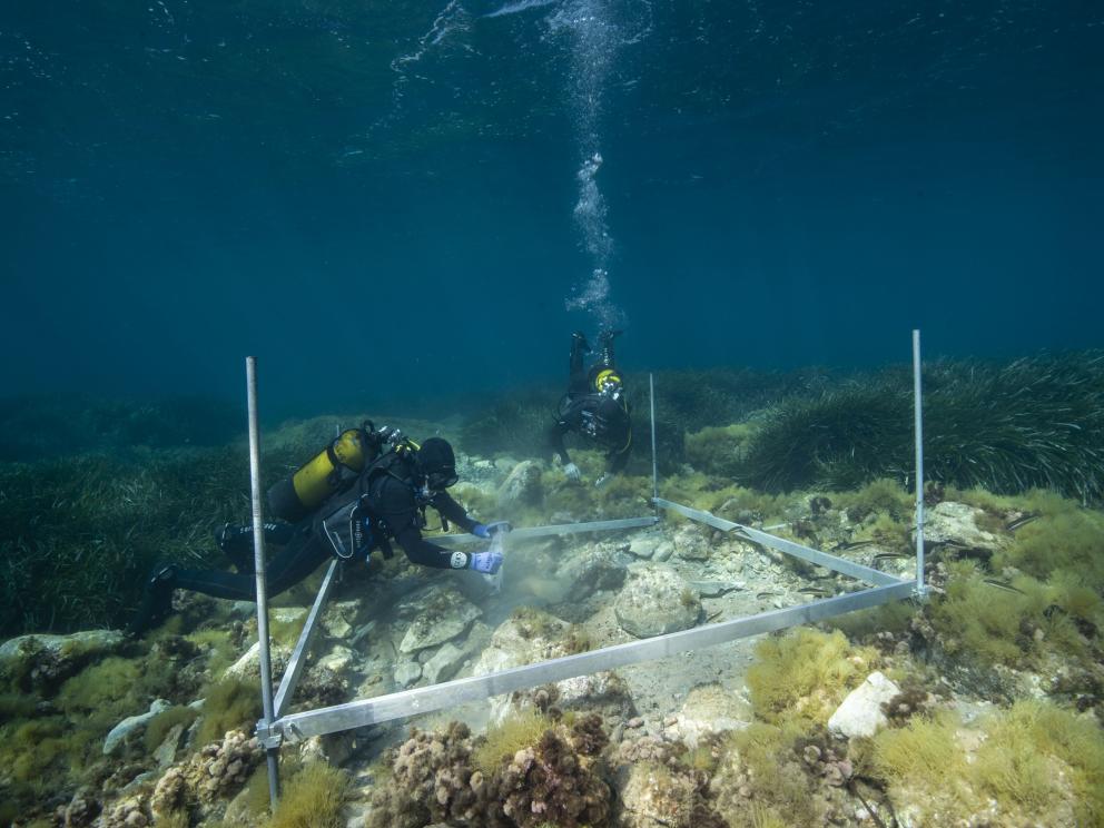 Fouille sous-marine sur le site portuaire antique d'Olbia (Hyères, Var) / Cliché : Loïc Damelet (CNRS - Centre Camille Jullian).