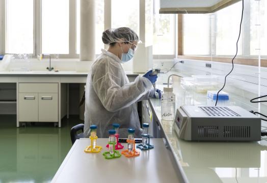 Préparation d'échantillons pour analyses isotopiques / Cliché : Elea Ropiot (Aix-Marseille Université).